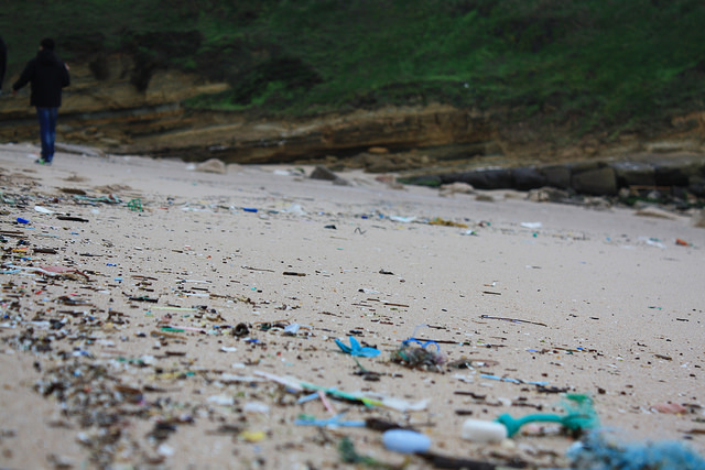 Where Plastic Really Goes When You Throw It Out: Marine Life Then Back To People
