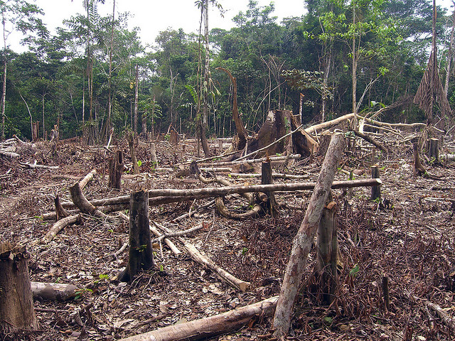 3 Ways Brazil’s Environmental Decisions Affect the World