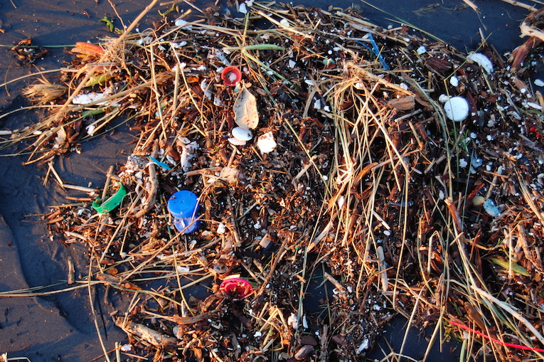 How Plastic Disrupts the Marine Ecosystem and What That Means for the Health of the Ocean and Consequently People
