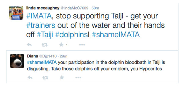 IMATA trainers under fire for involvement in Taiji dolphin hunts