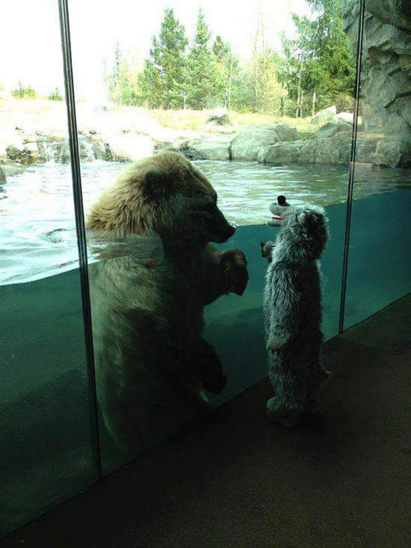 Sad Photo of a Child Meeting a Captive Bear Shows us That This is NOT How Kids Should Experience Animals