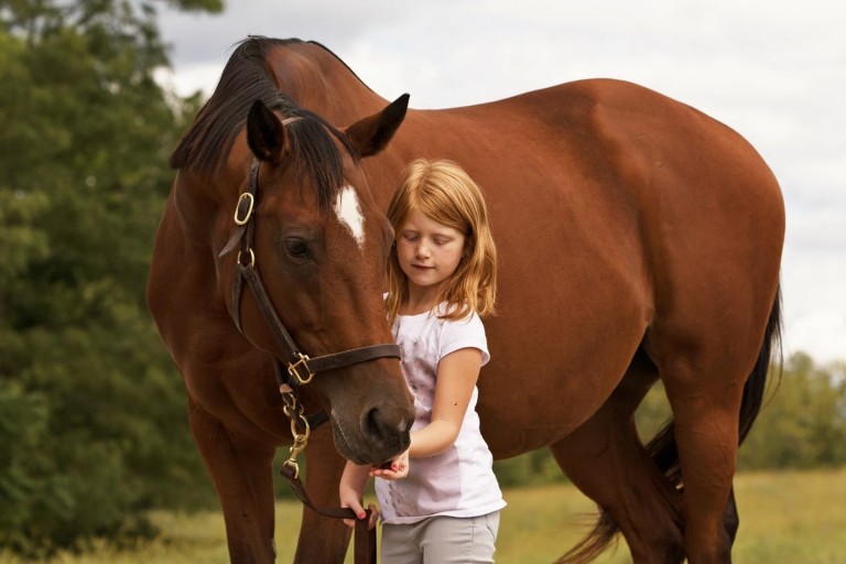 The Beautiful Story of How a Caring Little Girl Helped Save a Sick Horse Through the Power of Love