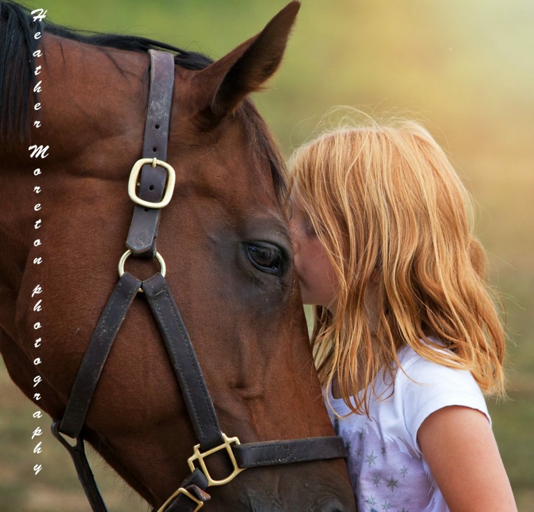 The Beautiful Story of How a Caring Little Girl Helped Save a Sick Horse Through the Power of Love