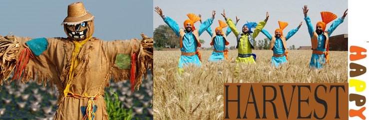 Harvest Festival around the world