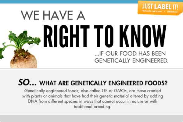 Infographic: What are GMOs?
