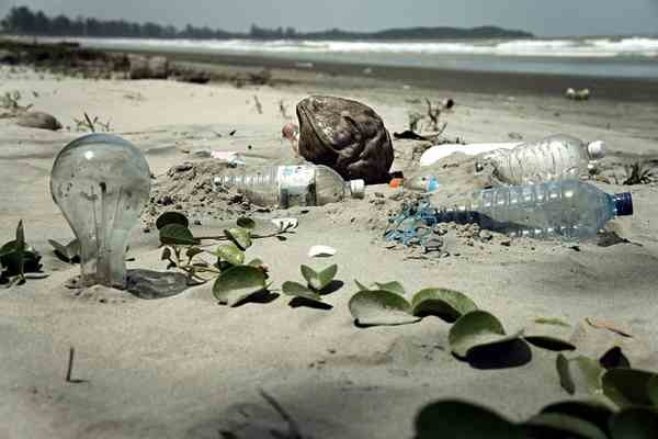 Plastic in 'Great Pacific Garbage Patch' Increases 100-Fold