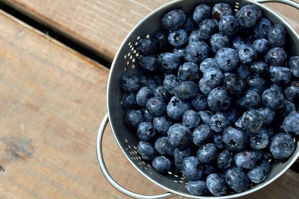 Blueberries Boost Recovery After Exercise