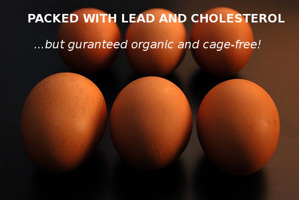 Lead Found in NYC Backyard Eggs