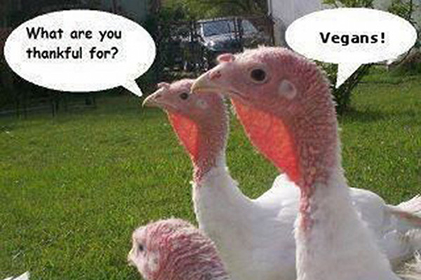 The Vegan Spirit of Thanksgiving