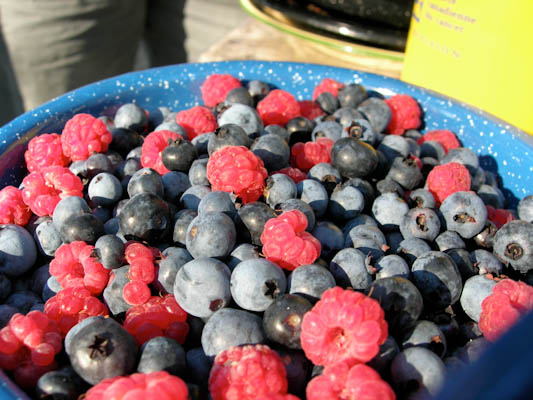 blueberries raspberries