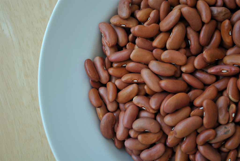 Are Beans a Good Plant-Based Protein Option for Dogs?