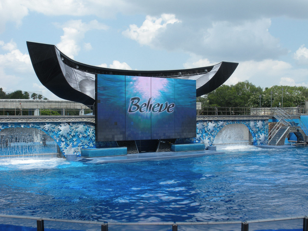 SeaWorld Tries to Convince Us They Care for Killer Whales – Are We Buying it?