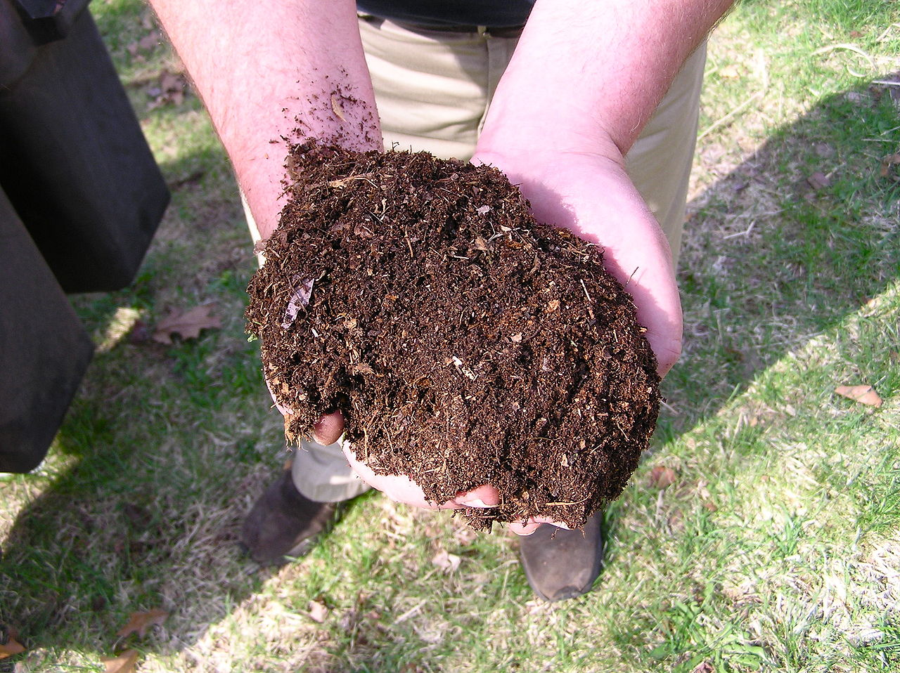 How To Get Started With Composting