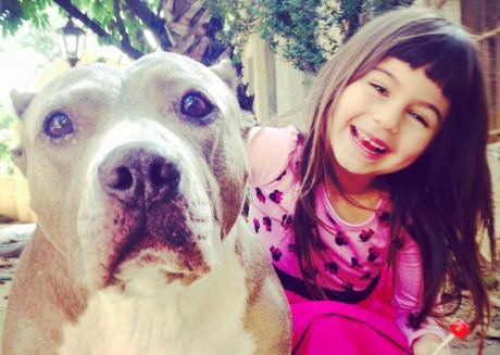 This Amazing Video Shows How Pit Bulls and Kids Can Be the Best of Friends