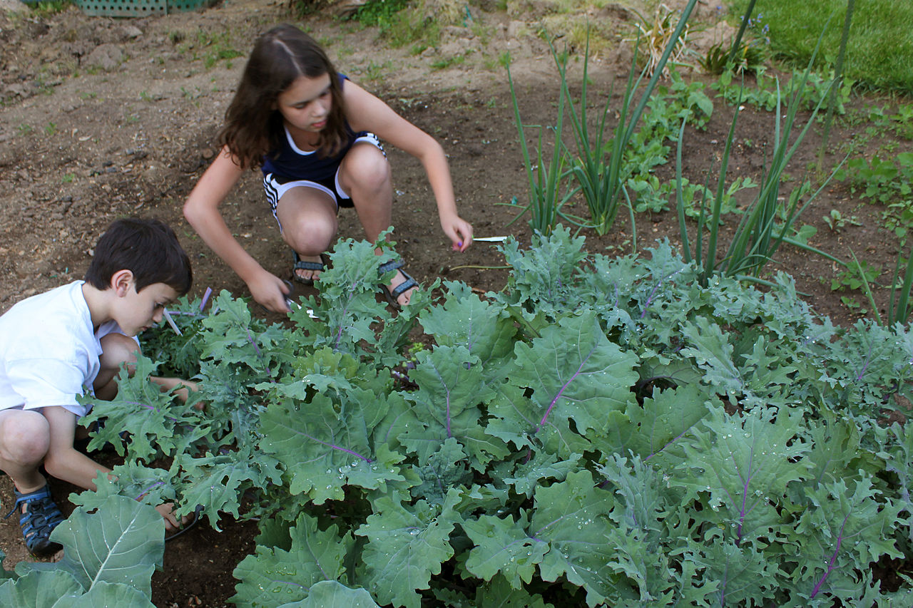 5 Fun and Educational Things To Do With Kids In The Garden