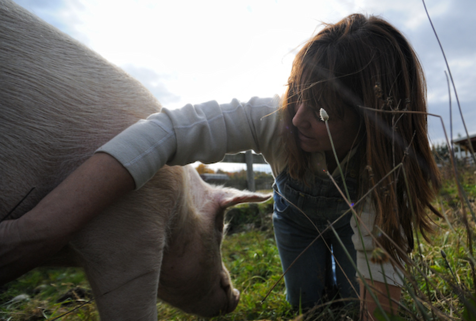 A Peak into the Life of a Farm Animal Whisperer