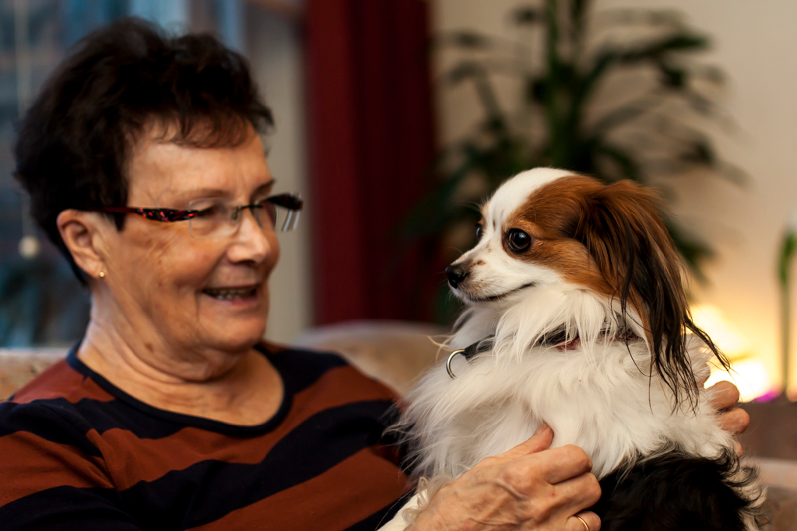 Benefits of Animal Companionship for the Elderly