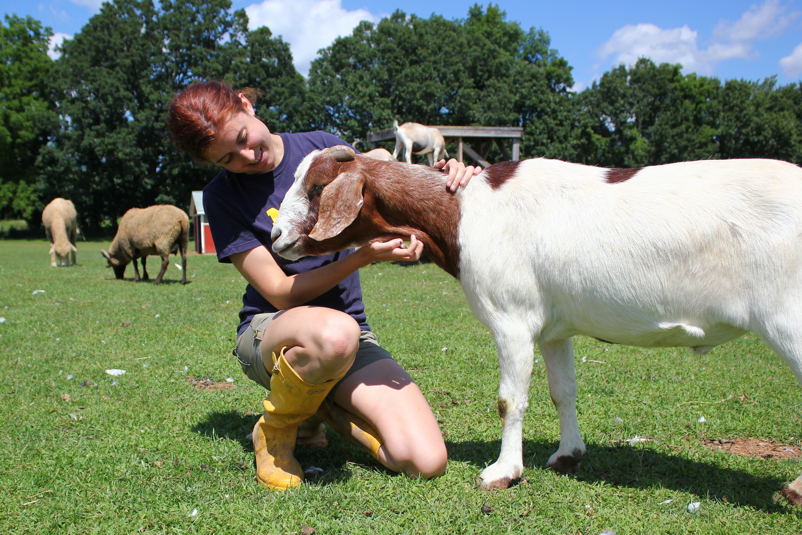 Life Lessons I’ve Learned Volunteering at an Animal Sanctuary