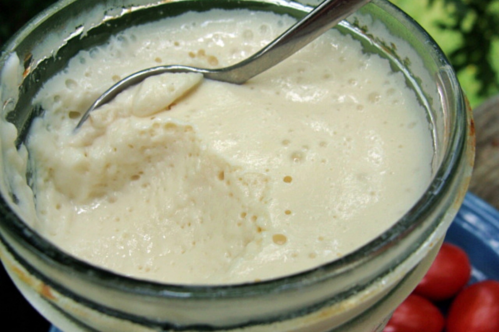 Bryanna's Creamy Low-Fat Vegan Mayonnaise With No Extracted Oil