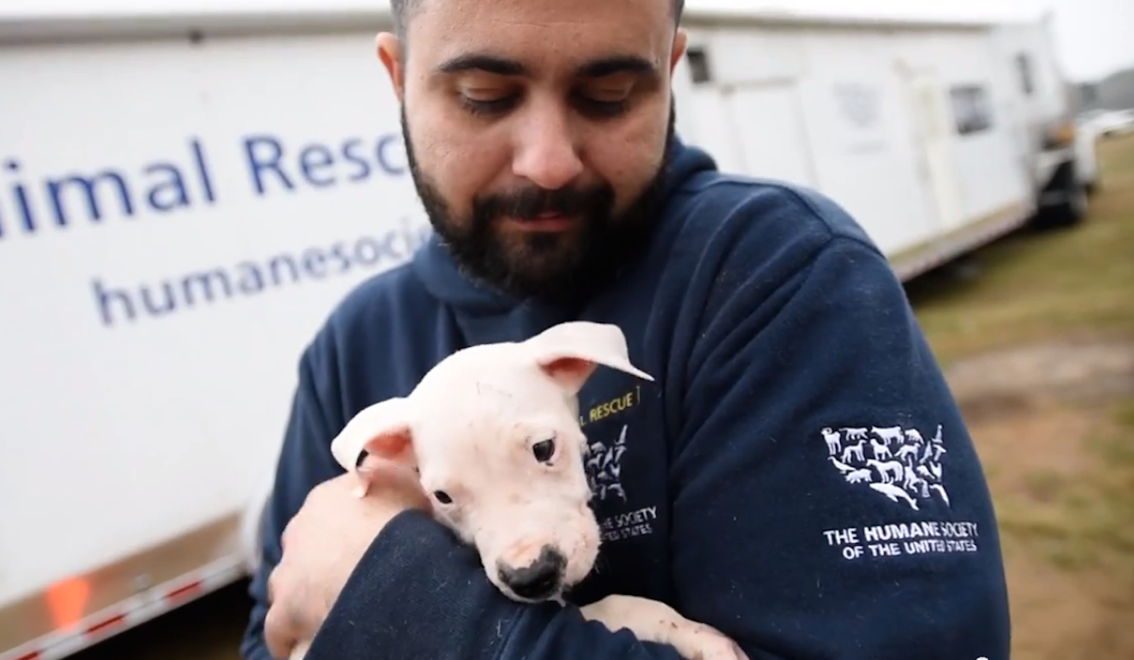 Over 50 Dogs and Puppies Rescued From Alabama Fighting Ring (VIDEO) - One Green ...1600 x 931