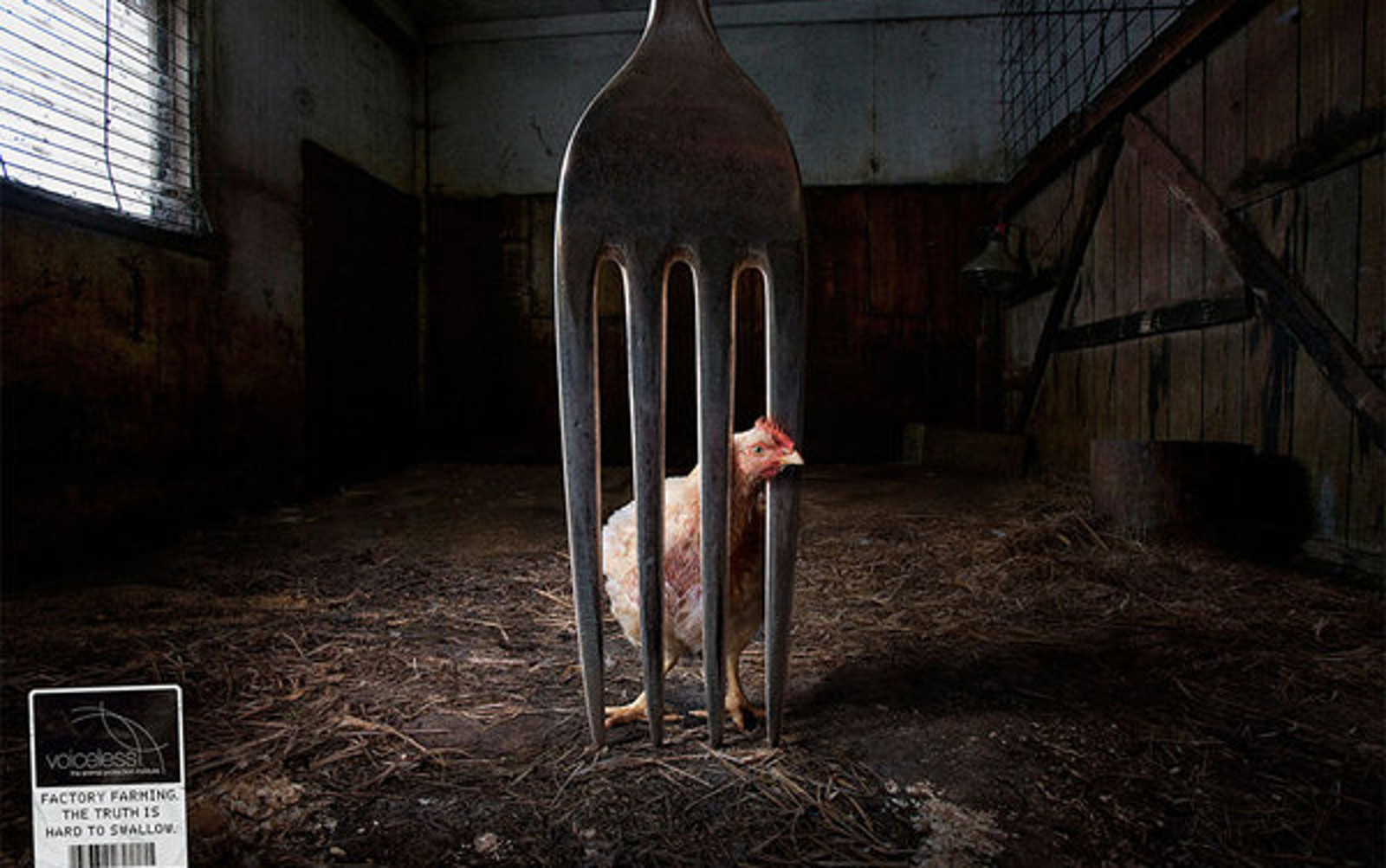 These Powerful Ads Featuring Farm Animals are Grim Reminders of Where our Food Comes From