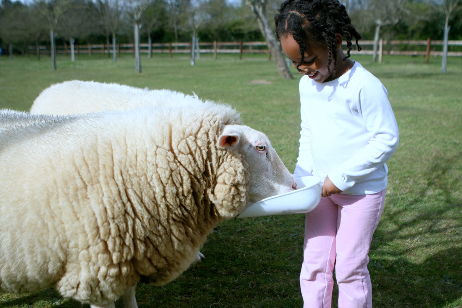 Farm Sanctuary Programs Teach Kids Compassion for All Animals