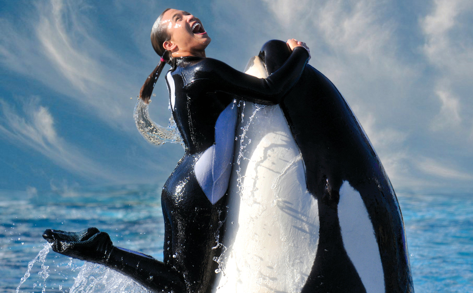 Empty the Tanks! SeaWorld's Comical Efforts to Redeem Their Reputation
