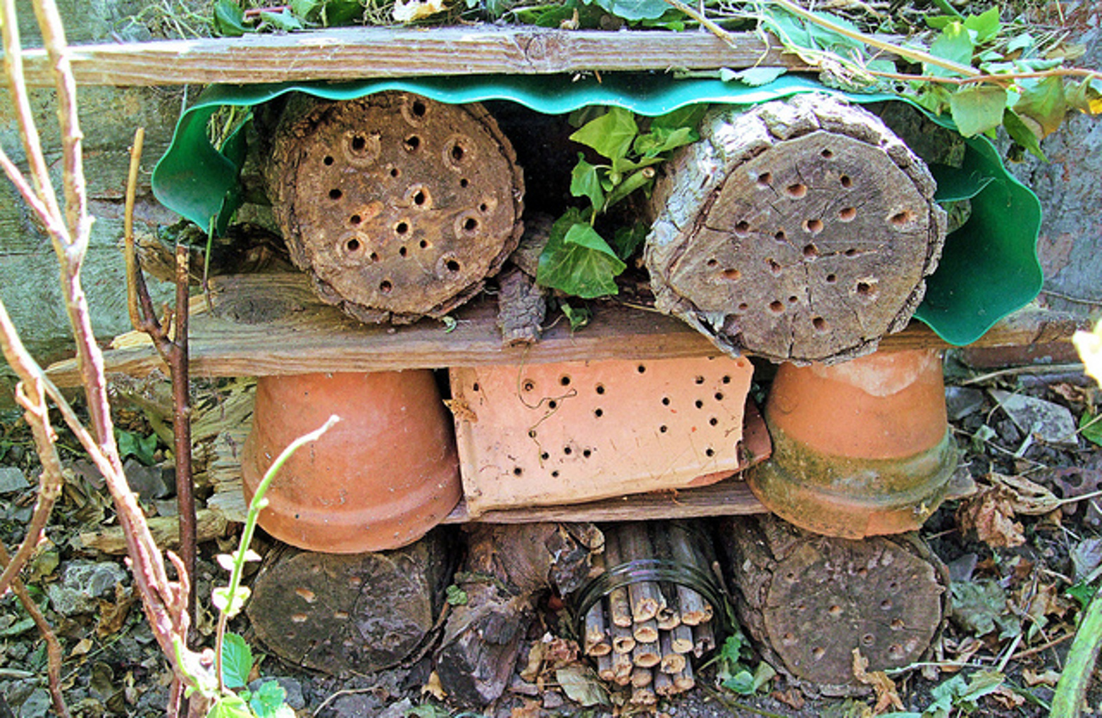 What is an Insect Hotel, How to Build One and Why You’d Want to