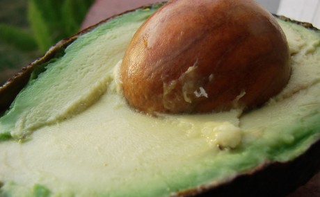 Avocado cut in half with the seed