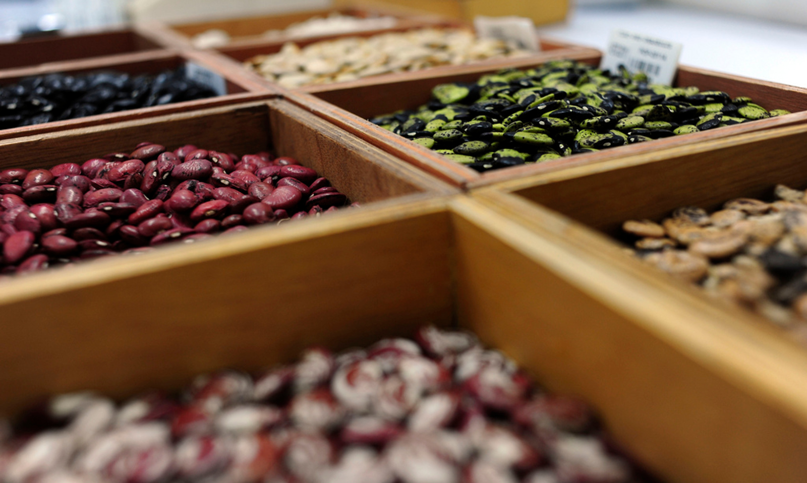 How to Start Your Own Seed Bank
