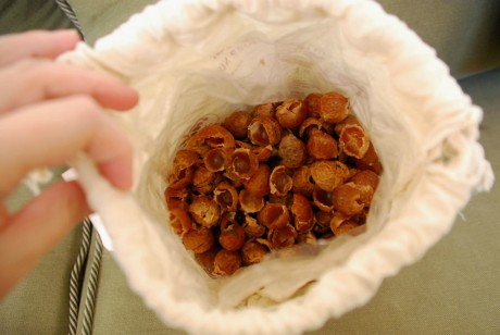 Never Buy Shampoo, Laundry Detergent or Soap Again Thanks to This All-Natural Nut