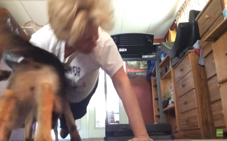 Dogs Make Their Hooman's New Year's Resolution Even Harder In the Most Adorable Way (VIDEO)