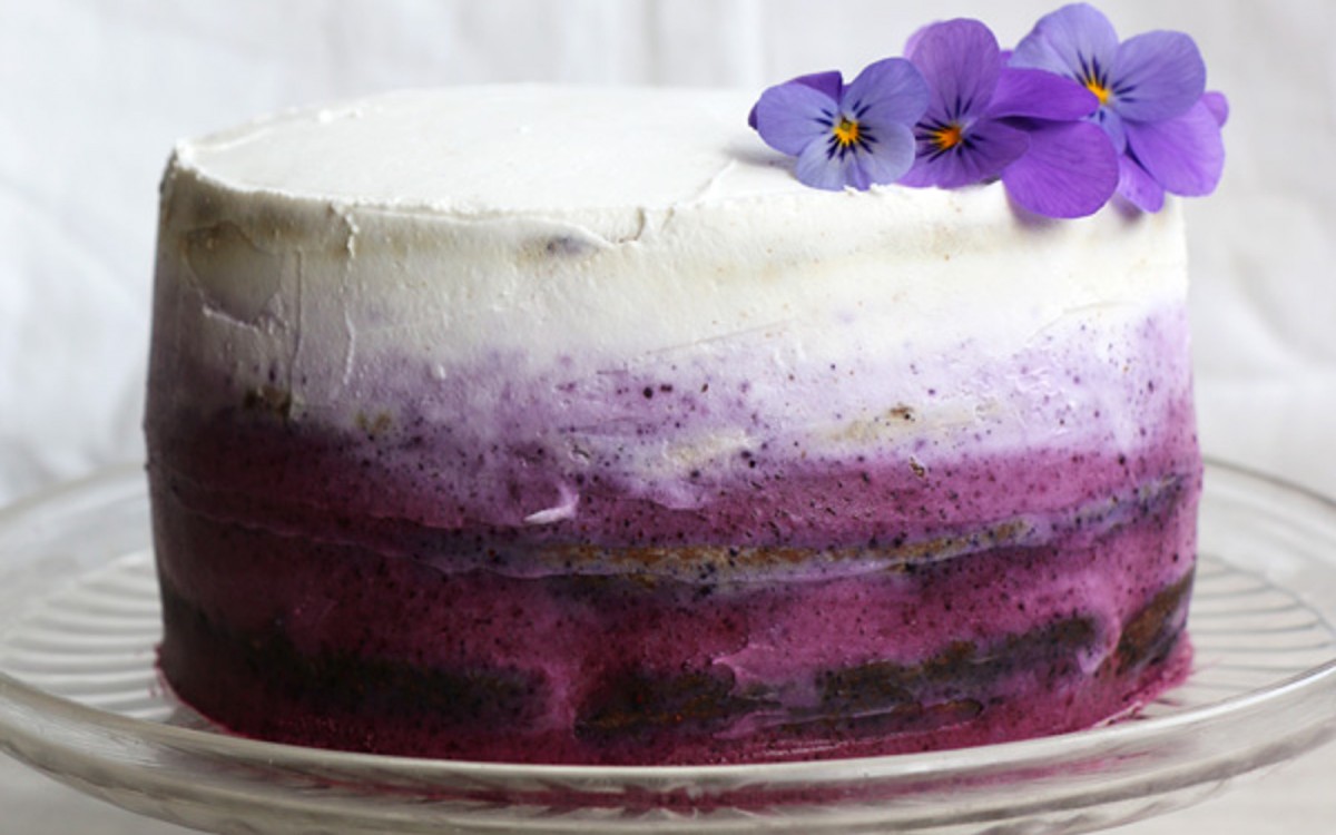Vegan Blueberry Cake with Coconut Frosting