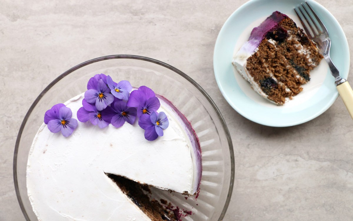 Blueberry Cake With Coconut Frosting