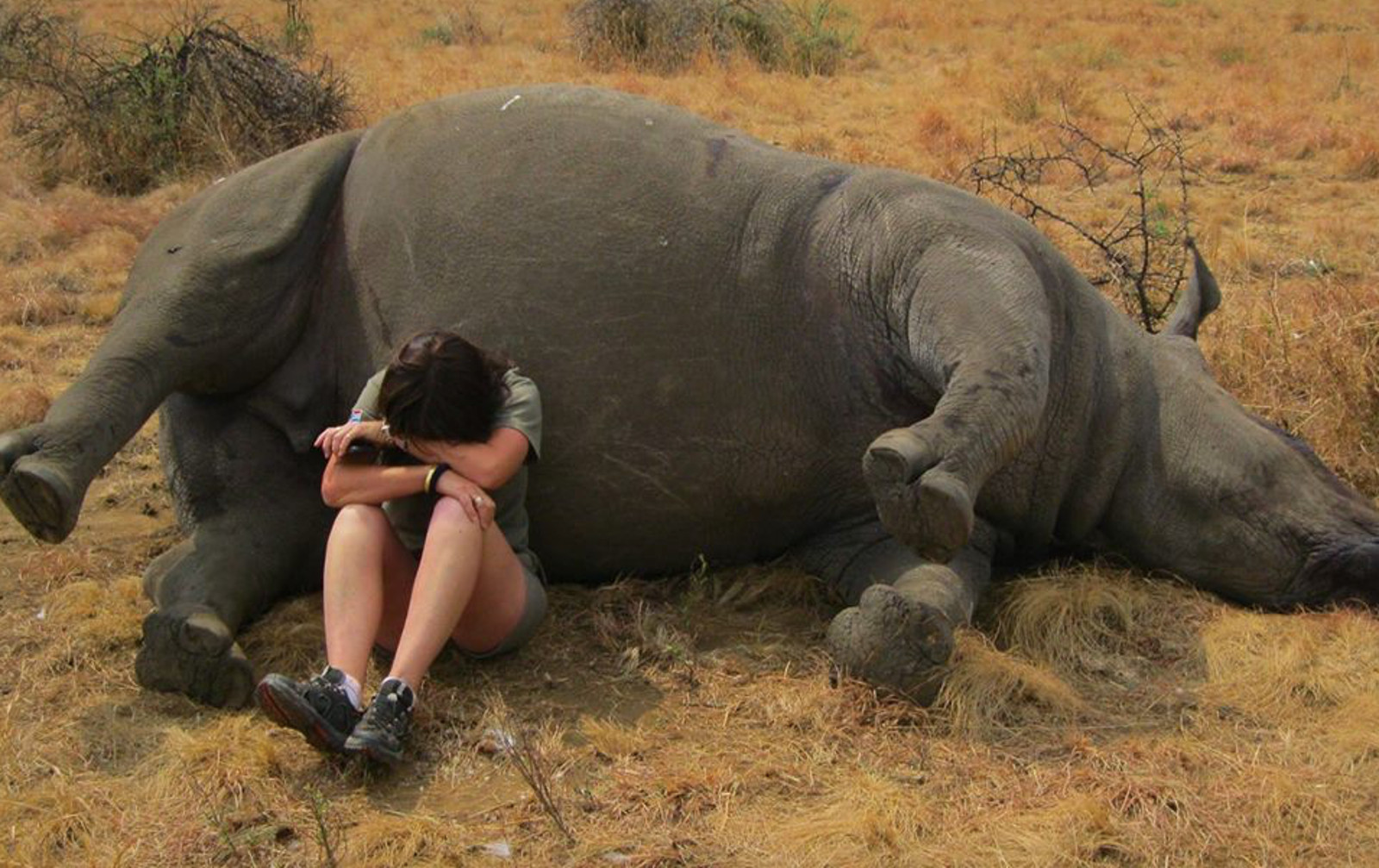 Powerful Picture of a Wildlife Reserve Worker Weeping Next to Poached Rhino Sheds Light on the Fierce Battle to Save These Animals
