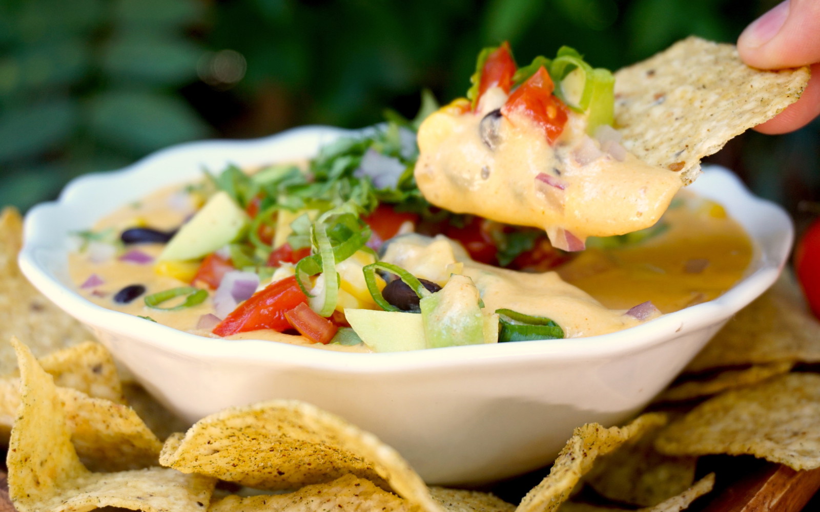 Loaded Queso Dip 1