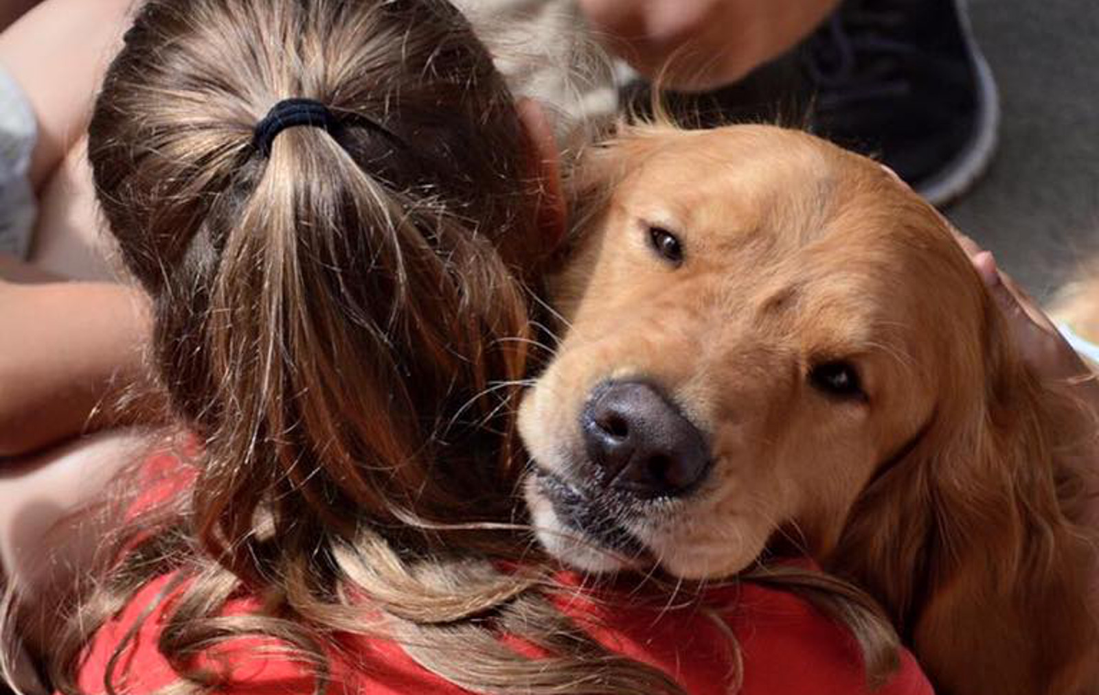 How Dogs Can Help in the Wake of Tragedy and Disasters