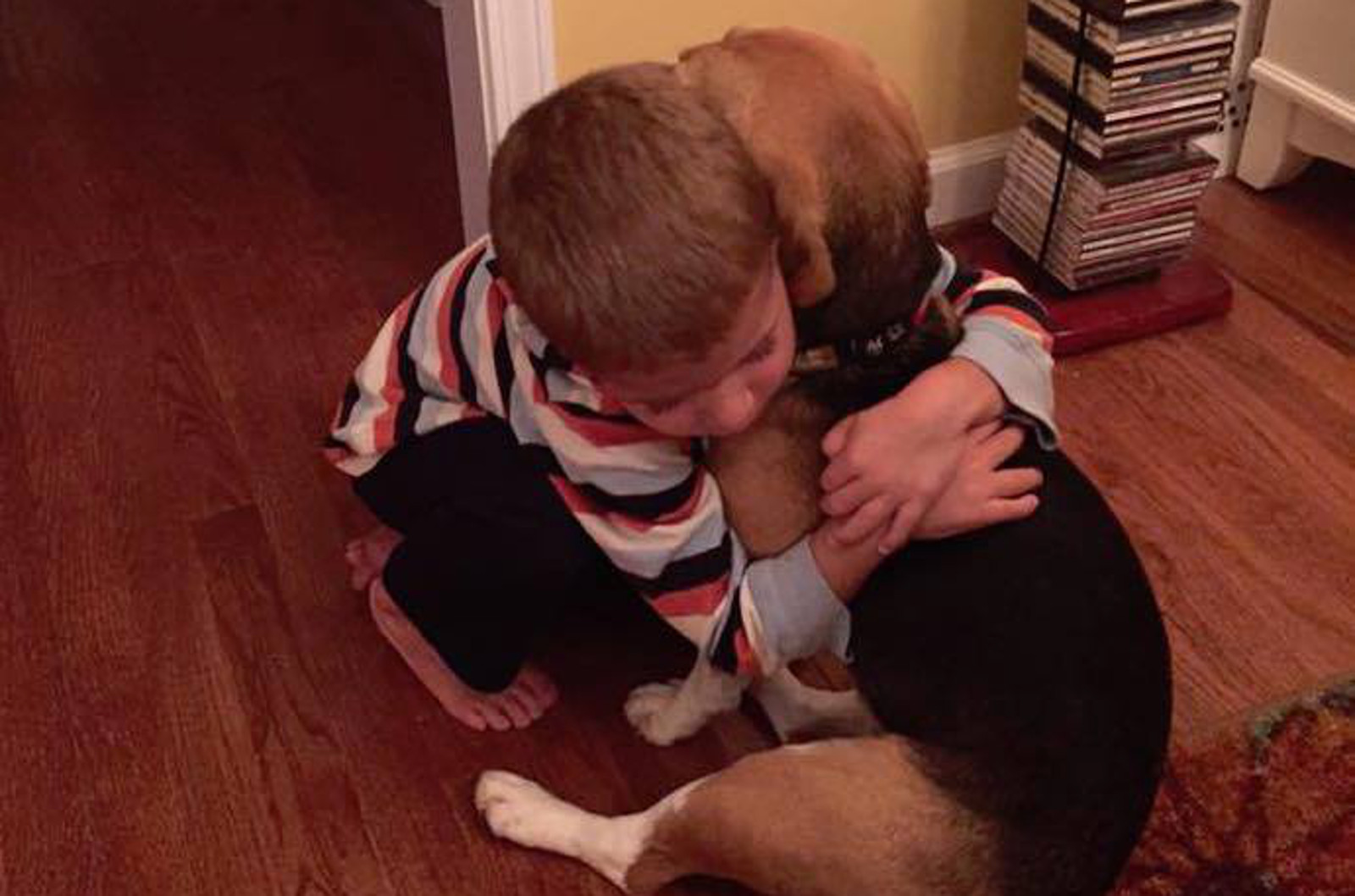 Little Boy Hugs Former Lab Beagle So He Knows a Life of Testing is Over for Good