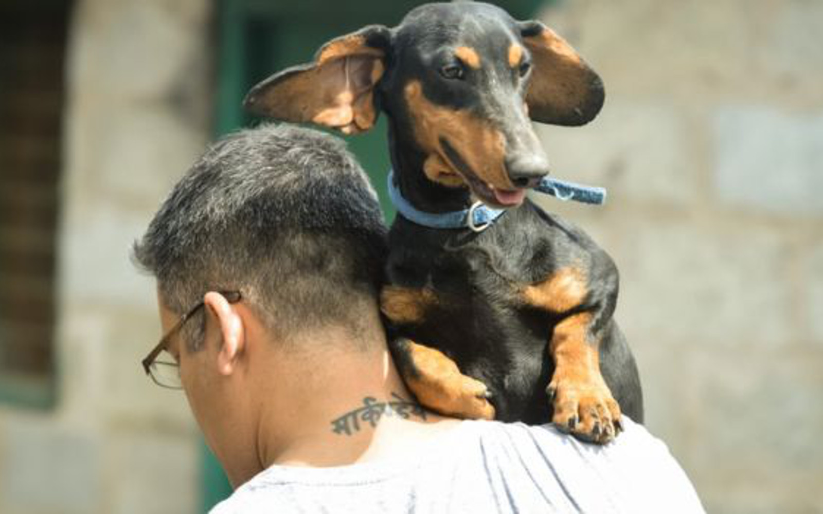 Meet 'The Dog Father' – A Rockstar-Rescuer Caring for 735 Dogs in Bangalore