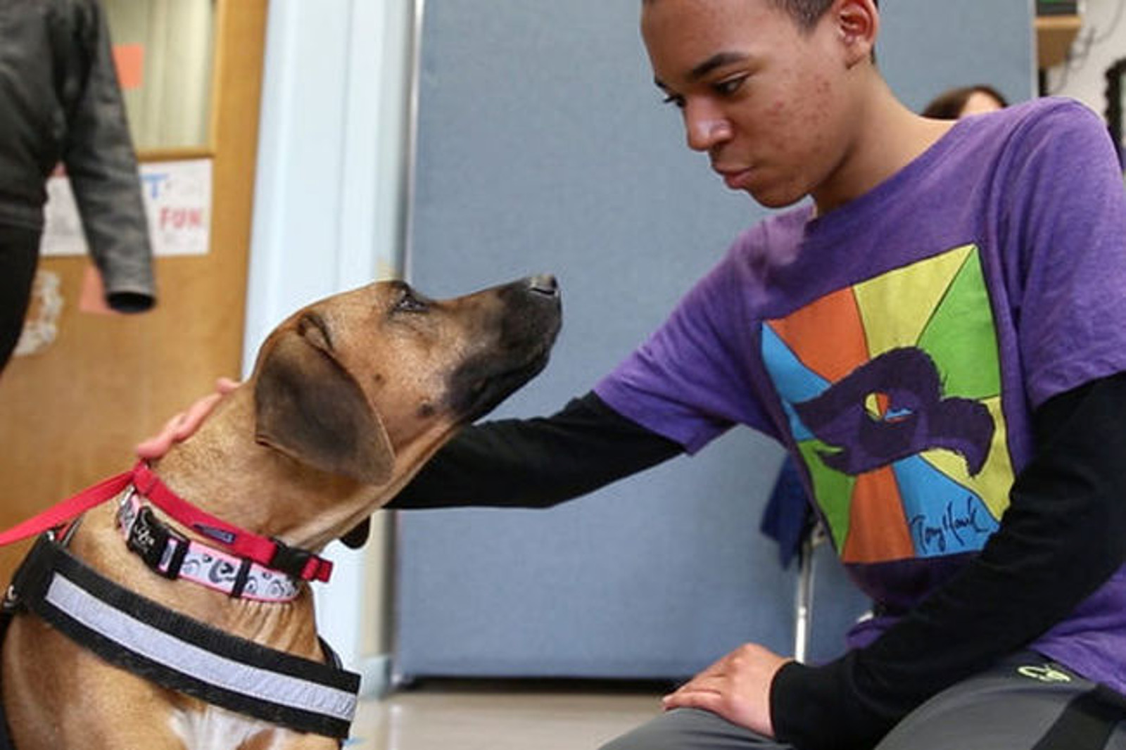 These 5 Incredible Organizations Are Changing Lives by Training Shelter Dogs to Become Therapy Animals