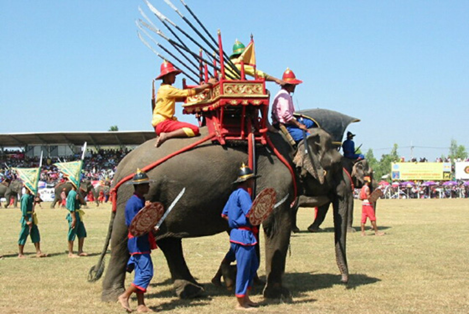Help Stop the Abuse of Elephants at the Surin Round Up Festival in Thailand!