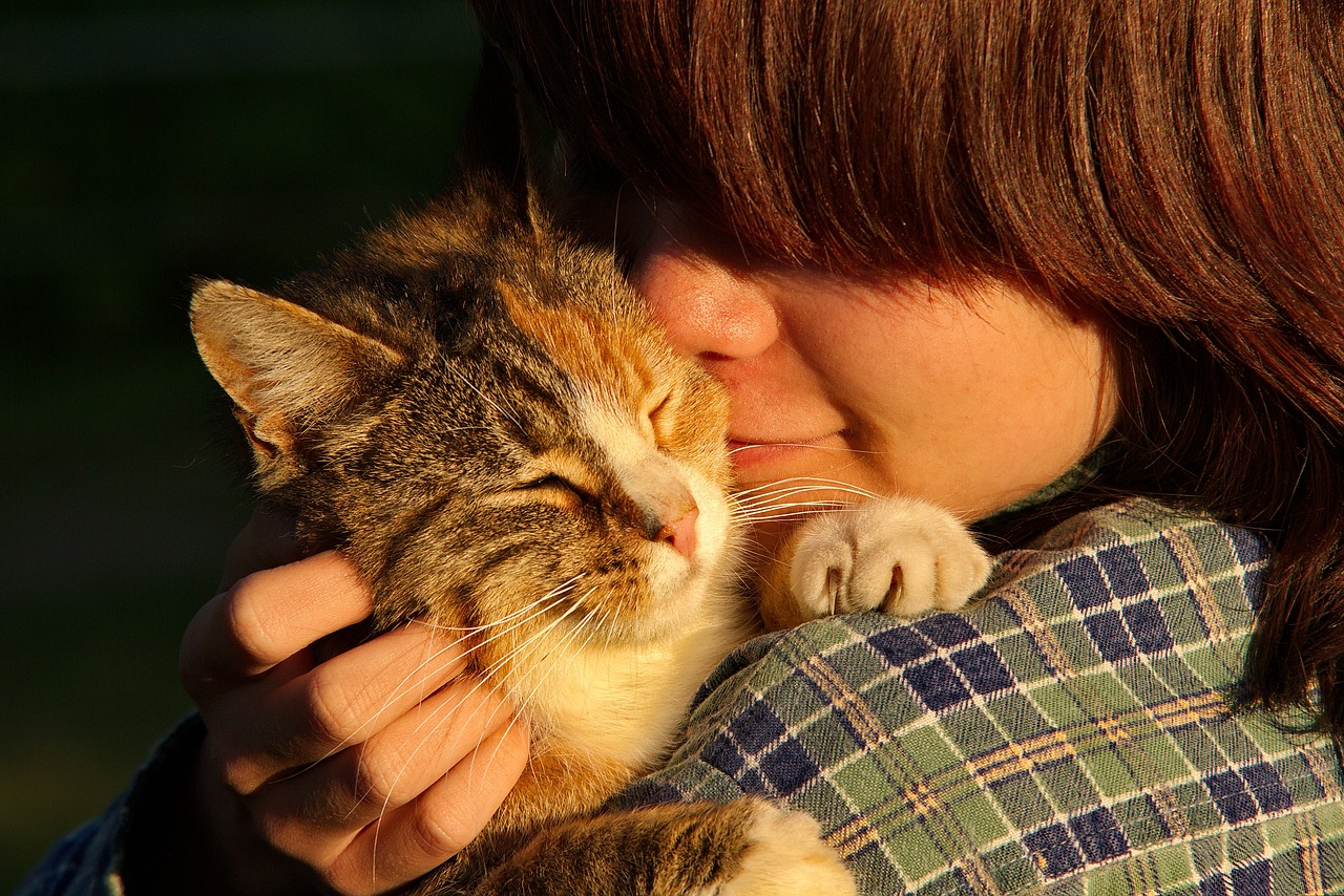 6 Tips for Helping Pets Adjust to Their New Home