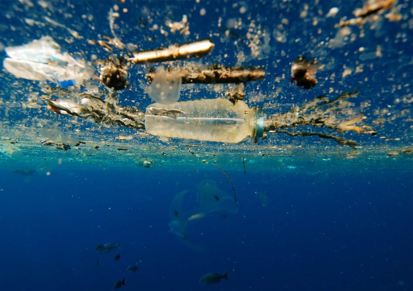 How This Documentary Shows Us What Our Plastic Trash is Doing to Animals and the Environment 