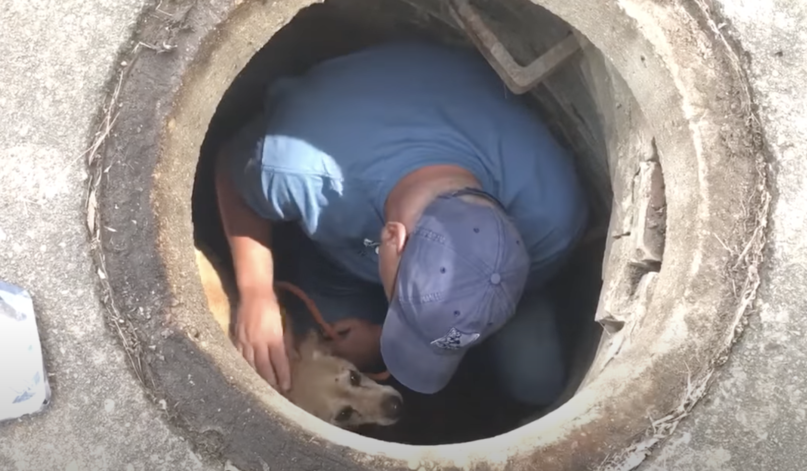dog and man in sewer