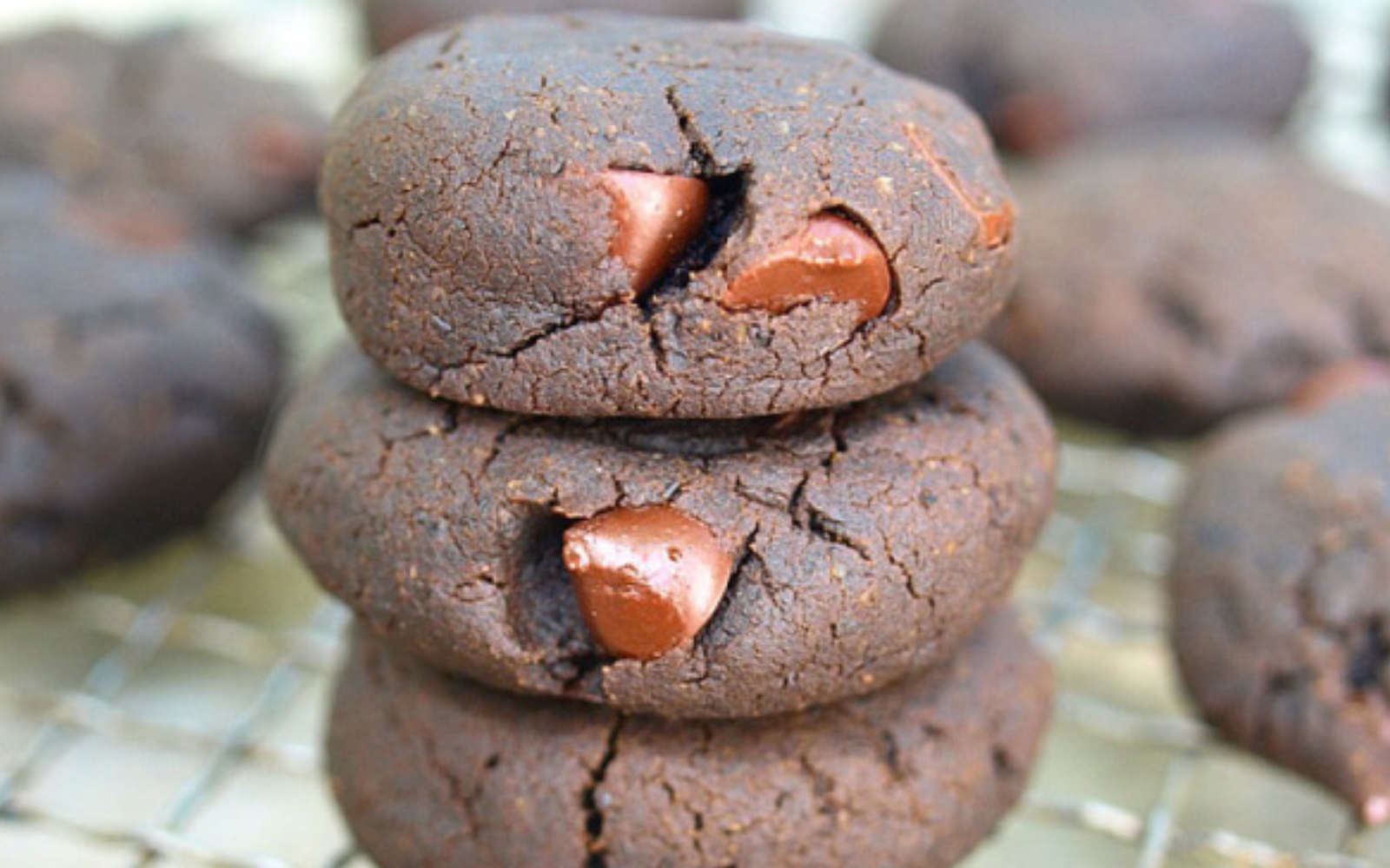 vegan flourless oil-free gluten-free grain-free black bean brownies double chocolate