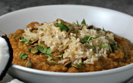 Spiced Lentil Freezer Meal [Vegan, Gluten-Free] topped with rice and fresh herbs