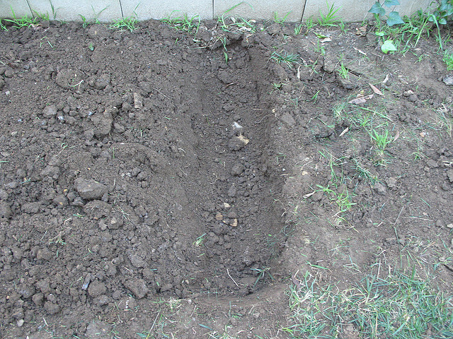 How to Deal With Compacted Soil in Your Garden