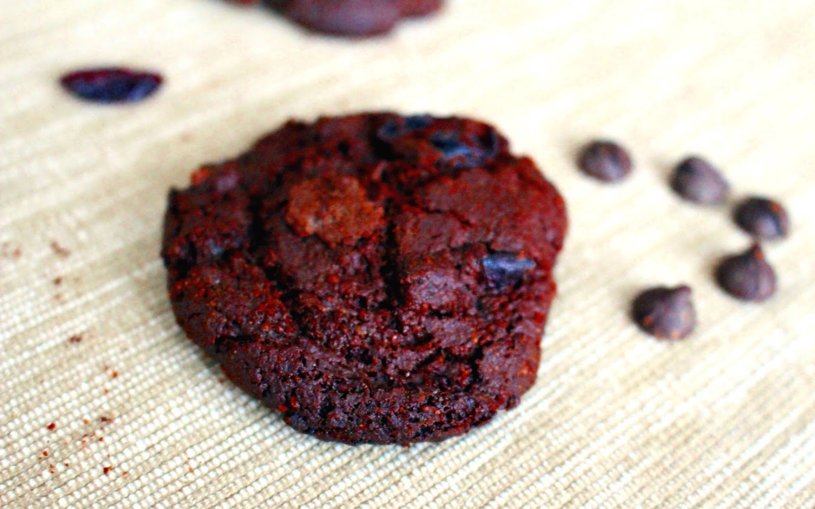 Soft Chocolate Cranberry Cookies [Vegan]