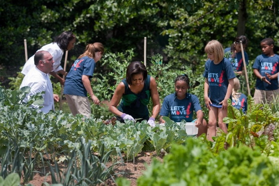 How Is Michelle Obama S White House Vegetable Garden Holding Up
