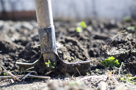 Garden tool in dirt on ground